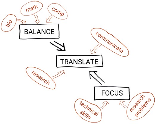 Conceptual organization of bioinformatics and systems biology education along three key elements: balance, translate and focus