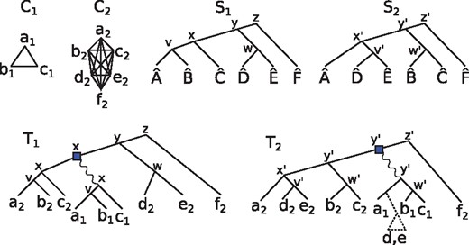 Two orthology clusters C1 and C2, and two putative species trees S1 and S2. The genes are named according to their species, e.g. σ(a1)=A^. Each internal node u of T1 (respectively, T2) is labeled by its lca-mapping s(u,S1) (resp. s(u,S2)). The tree T1 is the DAD-tree that could have given rise to C1 and C2 if S1 was the true species tree, assuming that C1 was born during the history of the C2 genes. T2 is the DAD-tree for C1 and C2 under the assumption that S2 is the true species tree. In the case of T2, a loss in the clade {D^,E^} is required to explain the birth of the C1 cluster at a time prior to lcaS2(σ(C1))=y′