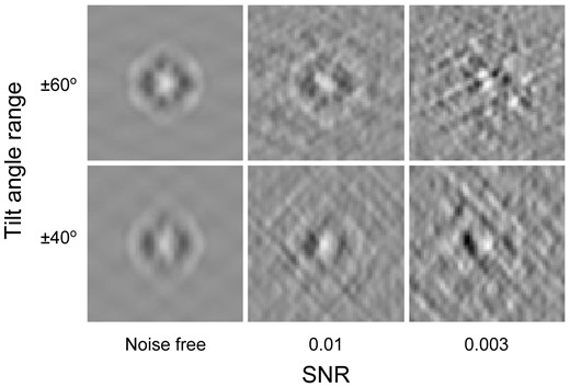 Center slices (x–z plane) of simulated subtomograms of specified level of SNRs and tilt angle ranges