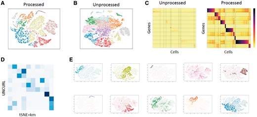 Exploratory analysis of the 10× 1.3 million cell dataset with UNCURL. (A) tSNE plot on UNCURL preprocessed data with argmax inferred labels. (B) tSNE plot without preprocessing with k-means inferred labels. (C) Clustered heatmaps showing the top cluster specific genes identified by UNCURL before and after preprocessing. Cells sorted by decreasing W for each cluster. The heatmaps demonstrate that UNCURL identifies distinct sub-populations of cells and preprocessing makes the expression of the top clusters more distinct. (D) Confusion matrix between UNCURL and tSNE + k-means labels. (E) Average expression of the top cluster specific genes overlaid on the UNCURL processed tSNE plot. The expression for each cluster is colored to correspond the coloring used in A. It can be seen that the average expression of the top genes are very cluster specific, indicating that they identified distinct sub-populations