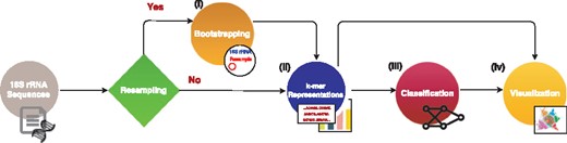 The components and the data flow in the MicroPheno computational workflow