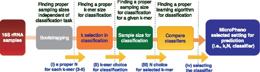 Steps we take to explore parameters for the representations, and how we choose the classifier for prediction of the phenotype of interest in this study
