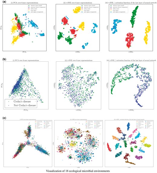 Visualization of (a) body-site, (b) Crohn’s disease, (c) ecological environments datasets using different projection methods: (i) PCA over 6-mer distributions with unsupervised training, (ii) t-SNE over 6-mer distributions with unsupervised training, (iii) visualization of the activation function of the last layer of the trained neural network (projected to 2D using t-SNE). (a) Visualization of the body-site dataset. (b) Visualization of the Crohn’s disease dataset. (c) Visualization of 18 ecological microbial environments