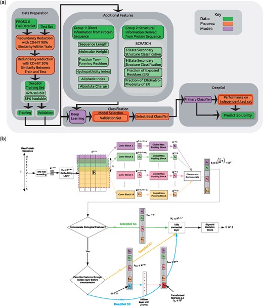 DeepSol overall framework. (a) DeepSol development flowchart. (b) The Deep Learning module is expanded to outline our proposed DeepSol architectures.Model Setting 1 (DeepSol S1) corresponds to the setting where continuous feature representation (h) of the raw input sequence, is the output of the K convolution and global max-pooling blocks. Convolution blocks are given by the set of triplets {(fk,qk,ak)}k=1 to K, where fk is the convolution filter size, qk is the number of convolutional filters and ak is the activation function of the block (see Fig. 2 for details of the convolution block). In model Setting 2 (DeepSol S2), we concatenate h with 57 sequence and structural features (biological features referred as b), extracted using third-party bioinformatics tools. In model Setting 3 (DeepSol S3), we transform biological features using a feed-forward neural network to get bp before concatenating with h