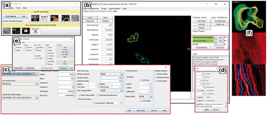QuimP GUI for analyzing cell motility. (a) QuimP toolbar, with tools arranged in the order of a typical workflow. Upper row: Open image time series, and main data analysis plugins (BOA: cell segmentation, ECMM: contour tracking, ANA: sampling of cortical fluorescence, QA: detailed quantitative analysis and visualization in the form of spatial-temporal maps, PA: protrusion analysis (experimental, working Matlab routines are provided)). Bottom row: Pre- and post-processing plugins (DIC: DIC image reconstruction, RW: customized random walk segmentation, Mask: Cell outline to mask converter). (b) BOA segmentation window with novel feature of external contour filters. (c) Interface for the new random walk segmentation module. (d) New BOA plugin that integrates random walk and active contour segmentation. (e) Conversion tool to export csv files. (f) Exemplary results from the QA module: cell outlines, fluorescence map, convexity map
