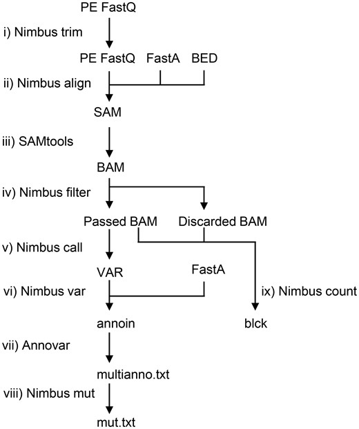 Nimbus analysis workflow. (i) Reads are first trimmed using Nimbus trim and (ii) subsequently aligned to the reference design using Nimbus align. (iii) The resulting SAM file is sorted and converted to BAM format using SAMtools. (iv) The alignments with four or more differences are copied to the discarded BAM files. Alignments with fewer than four differences are written to the passed BAM files that are used in the downstream analysis. The threshold for filtering can be adjusted. (v) Nimbus call records all differences between the reference sequence and the (passed) alignments in a custom var format. (vi) From these var files, variants are distilled by Nimbus var and reported in the tab-delimited ANNOVAR input format. (vii) The variants files are annotated with ANNOVAR (13) and (viii) converted to the mut.txt format which is readable by the IGV (14). (ix) In parallel with the variant calling, the read depths per amplicon are determined by Nimbus count from both the passed and discarded alignments. This information is recorded in blck files which can be used to determine amplicon performance