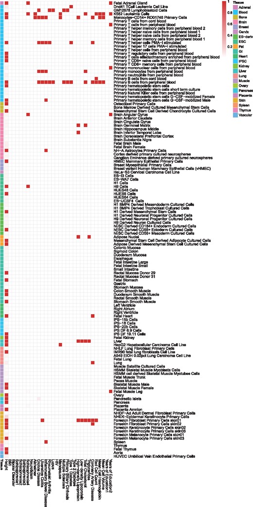 Relevant cell-type specific functional annotations for 30 GWAS