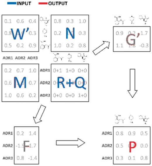 Algorithm flow. R: known drug-ADR associations (sample); M: pairwise ADR similarity matrix; N: pairwise drug similarity matrix; W: drug-ADR frequencies; Q: impute values; F: latent ADR preferences; G: latent drug preferences; P: output drug-ADR probabilities (recovered signal)