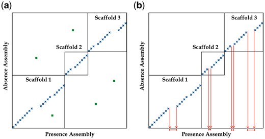 The scanPAV algorithm. (a) Presence assembly sequences are shred into 1 Kb fragments and mapped against the absence assembly: crosses are alignments consistent with the reference while squares are repeats; (b) small repeats [squares in (a)] are considered noise and filtered out; then uncovered regions in the presence assembly are identified as PAV sequences and printed out