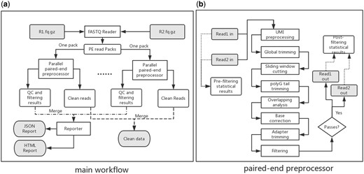 Workflow of fastp. (a) Main workflow of paired-end data processing, and (b) paired-end preprocessor of one read pair. In the main workflow, a pair of FASTQ files is loaded and packed, after which each read pair is processed individually in the paired-end preprocessor, described in (b)