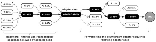 A demonstration of extending an adapter seed in both forward and backward directions. The found adapter is GCAAATCGATCGACT, with the first two bases (GC) as the upstream sequence, the central ten bases as the adapter seed, and the last three bases (ACT) as the downstream sequence