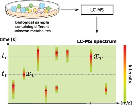 Schematic representation of retention times, MS, and MS/MS data in a metabolomics experiment. MS/MS spectra are measured at high-intensity peaks in the (retention time, mass per charge) space