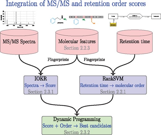 The flowchart showing the usage of retention time, MS/MS, and molecular property data sources to provide MS/MS based scores for candidate molecules and retention order predictions for pairs of molecules, as well as the dynamic programming module to integrate the two kind of predictors into a joint identification for a set of metabolites