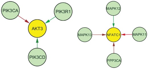 Edge differences between receptor positive (luminal A and B) and receptor negative (HER2, triple negative) breast tumor samples for a common sub-network of the T cell and B cell receptor signaling pathways (left) and the T cell receptor signaling pathway (right). Red edges are those that are more stable in receptor positive breast cancer, while green refers to receptor negative breast cancer. AKT3 and NFATC1 regulation appear to be driving the change between these phenotypic groups