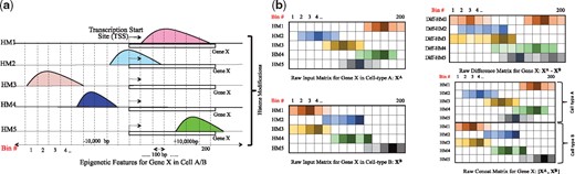 DeepDiff: DEEP-learning for predicting DIFFerential gene expression ...