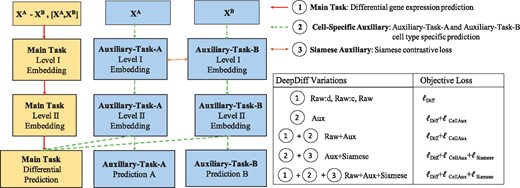 We implement multiple variations of DeepDiff through deep learning based multitasking. Our system includes a set of auxiliary tasks shown as units in this Figure. In details, we use two types of auxiliary tasks coupled with the main DeepDiff task of differential gene expression. The Cell-specific Auxiliary tasks, denoted by Auxiliary-Task-A and Auxiliary-Task-B cell-type specific gene expression prediction. The second Siamese-Auxiliary task uses the siamese contrastive loss at the Level I Embedding outputs. The DeepDiff variations are indicated as combinations of the main task, auxiliary tasks and variations of the input