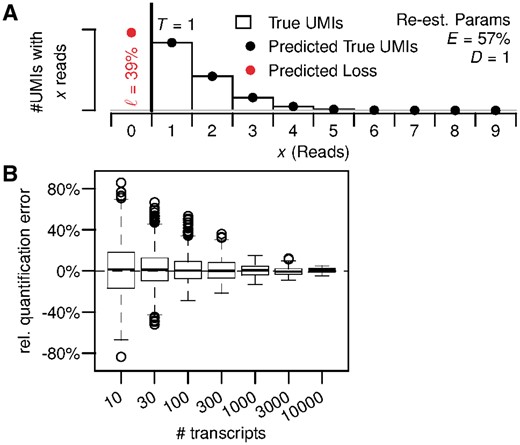TRUmiCount performance for low sequencing depth. (A) Overall distribution of observed and predicted reads per UMI for an average of D = 1 read per molecule. (B) Relative error of estimated total number of transcripts for different true numbers of transcripts and D = 1 read per molecules on average. (Color version of this figure is available at Bioinformatics online.)