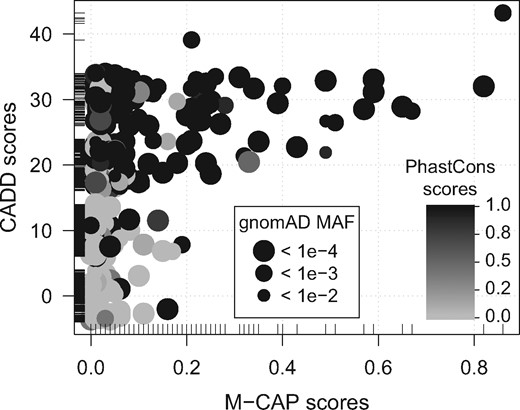 Relationship between CADD, M-CAP, PhastCons scores and gnomAD MAF values for variants from coding regions of chromosome 22. Values on the y-axis are jittered to improve visualization. Short lines along each axis are a 1-d representation of the axis data to visualize values that are present in one axis only. No dots are hidden behind the legends