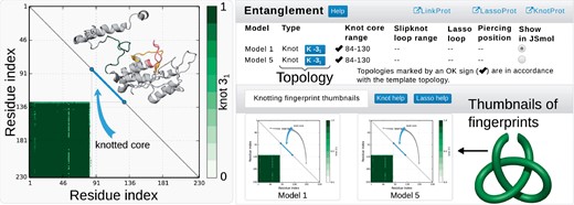 Exemplary, simplified output of the topological analysis. Right panel—the table indicating topological details about models. Columns show the model name, the entanglement type, location of (slip)knot along sequence and lasso data. The structure can be visualized in JSmol. Below, the thumbnails of the knot fingerprint matrices are shown. Left panel—enlarged knot fingerprint showing the knot core, slipknot loop and slipknot tail (as in the table). The probability of obtaining 31 knot is given by the color bar. Inside the matrix, the structure of the protein (above diagonal) along with corresponding knot core (below diagonal) cut out from the structure (Color version of this figure is available at Bioinformatics online.)