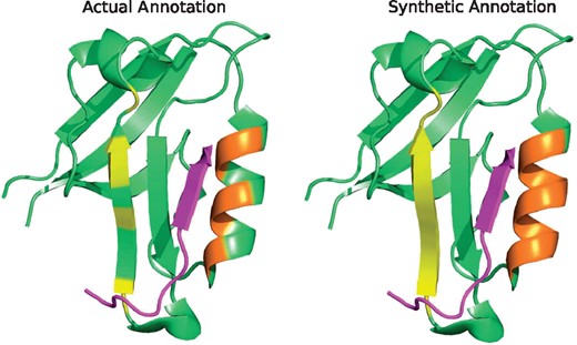 The actual (left) and synthetic (right) annotations of peptide-binding residues (highlighted) are shown on a protein’s (PDB ID: 4JOE) tertiary structure (green) bound to a peptide (pink). The binding residues of the two regions are marked in yellow and orange, respectively. Before smoothing, the binding residues were disjoint (left), whereas in synthetic annotation (right), the binding residues are contiguous. We viewed the 3D structure using PyMOL (Schrödinger, 2015) (Color version of this figure is available at Bioinformatics online.)