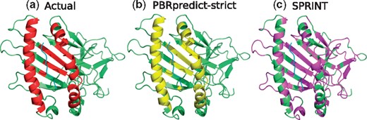 (a) Peptide-binding residues (red) of the MHC domain (green), bound to a peptide (cyan) in PDB 1LD9. The prediction outputs of PBRpredict-strict (yellow) and SPRINT (magenta) are shown in (b) and (c), respectively (Color version of this figure is available at Bioinformatics online.)