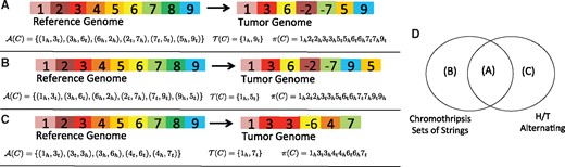 (A–C) Three different tumor genomes obtained as a rearrangement of blocks from the reference genome along with their corresponding adjacency sets, terminal sets and extremity permutations. (D) Shows the relationship of the previous three examples in terms of a string C being a chromothripsis string or having an extremity permutation π(C) that is H/T alternating