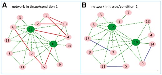 A toy example of two gene regulatory networks from two tissues or environmental conditions. Gene 10 and 12 are common hub genes in both networks. There are some edges (dash green) shared by the two networks and some edges (solid red or solid blue) belonging only to one network (Color version of this figure is available at Bioinformatics online.)