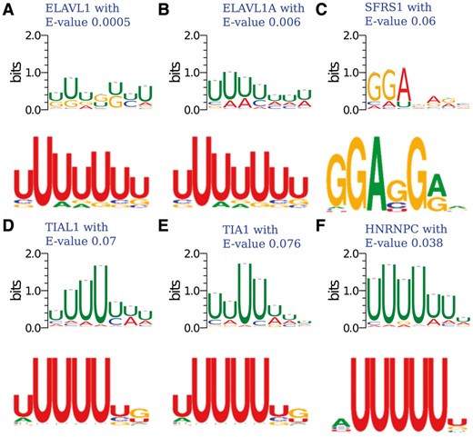 The matched motifs against experimentally verified motifs in CISBP-RNA, where the E-value is calculated by TOMTOM. In each figure (A–F), the upper figure is the detected motif by iDeepE, the below figure is the experimentally verified motifs from CISBP-RNA database