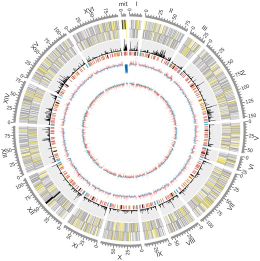 Distribution of DSBs along the genome of strain S288c. From outer to inner, the circle represents the genome coordinate (grey), all the genes located in forward and reverse strands (yellow, black and grey indicate the tRNA, rRNA and other genes, respectively), the percentage of DSBs (black), some important sequence elements (black, red, blue, yellow and green indicate the centromere, replication origin, telomere, mobile element and repeat region, respectively), GC content (blue/red) and GC skew (blue/red), respectively