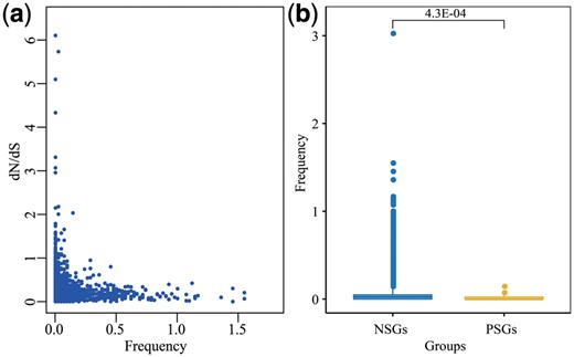 Relationship between recombinational DSBs and genetic evolution. (a) Correlation between recombinational DSB frequency and dN/dS value. (b) Comparison of recombinational DSBs frequency between NSGs and PSGs. Statistical significance analysis is performed by the pairwise Wilcoxon test 