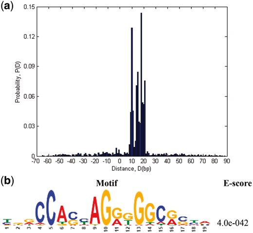 (a) Probability distribution of distance of the most significant nucleotide (Ntms) for TF binding identified by DeepBind from the nucleotide having maximum score (Ntmax) according to DeepSNR. (b) CTCF motif found as highly present in motif enrichment analysis on all test sequences for very short region, only 20 bp downstream from Ntmax