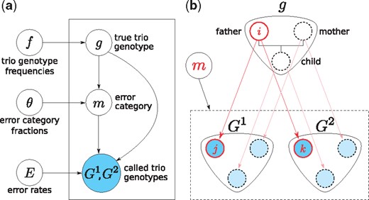 Graphical representation of the model. (a) Parameters, f, θ, E, determine the distributions of hidden variables: correct genotype trio g and error category m, and the observed genotype trios: G1 and G2. (b) Transitions from correct genotype trio g to observed genotype trios (G1,G2) are caused by genotyping errors. The correct genotype i∈I of a variant in the genome of each family member undergoes a transition, subject to the same error category m, resulting in called genotypes (j,k)∈I×I