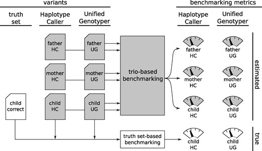 Validation experiment. We create two sets of trio variants called by a pipeline using GATK Haplotype Caller and another using GATK Unified Genotyper. Running our trio-based benchmarking model on this data produces estimates of various benchmarking metrics for both pipelines on all three datasets. At the same time, we use the correct genotypes for the child’s truth set to calculate the true values of the same benchmarking metrics. Gray shading marks the components that would be present even in a regular usage of our model, when the truth set is not available