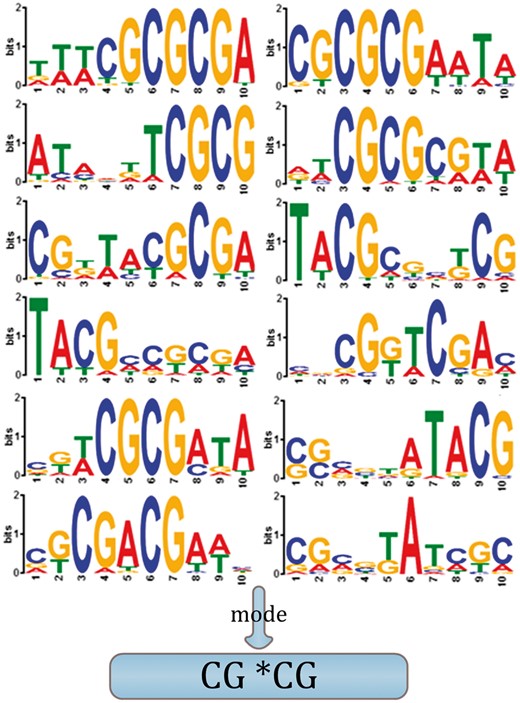 Motif discovery logos for 21 typical mammalian species. The horizontal and vertical axes represent the position of the motif and its ‘bits per position’ (D’Haeseleer, 2006), respectively (Color version of this figure is available at Bioinformatics online.)