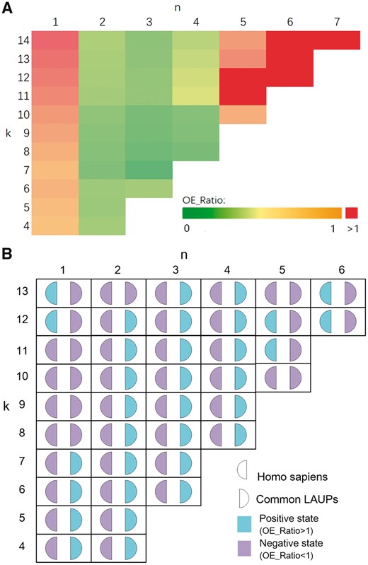 OE_Ratio. (A) An OE_Ratio heat map for CpG-containing human sequences; (B) comparison between human CpG-containing sequences and common LAUPs (Color version of this figure is available at Bioinformatics online.)