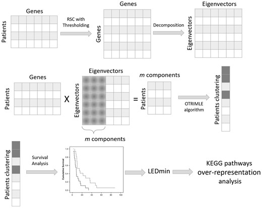 The proposed approach for clustering patients is composed of several steps. First of all, starting from the gene expression data matrix, the robust and sparse gene co-expression matrix is computed with the RSC method. RSC also identifies the optimal threshold to cut spurious correlations. Then, the correlation matrix is decomposed into its spectral components (eigenvalues and eigenvectors). Only the first m components of the decomposition are used to project the patients onto a rotated subspace. In this subspace, the OTRIMLE algorithm is applied. Survival curves were computed for the obtained clustering. Separation of survival curves is evaluated for each clustering solution. The (optimal) clustering that maximizes survival curves separation is chosen. Based on the optimal clustering, the differentially expressed genes are computed (starting from the original matrix) for each cluster versus the others. Finally, to give more insights into the biological process underlying the patients cluster, a pathway over-representation analysis is performed