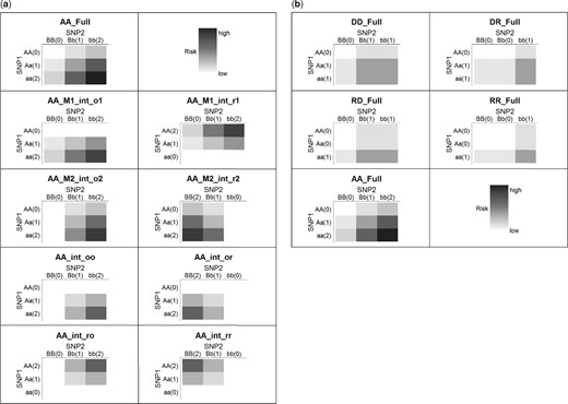 SNP–SNP interaction patterns of the AA9int and Five-Full approach. (a) Additive-additive 9 interaction-model approach (AA9int)1. (b) Five full interaction model approach (Five-Full)1. 1Model label: D: dominant, R: recessive, A: additive (1st and 2nd letter represent inheritance mode for SNP1 and SNP2). Full: full interaction; M1_int: SNP1 main effect plus interaction; M2_int: SNP2 main effect plus interaction and ‘int’ only: model with an interaction only. o1, _r1: original coding (based on minor allele) for SNP1, and reverse coding for SNP1. _o2, _r2: original coding for SNP2, and reverse coding for SNP2. _oo, _or, _ro, _rr: based on original–original, original-reverse, reverse-original and reverse-reverse coding for SNP1–SNP2. The labels of two axes are ‘genotype (coding)’. A lowercase and capital letter denotes the minor and major allele, respectively. The darker the color, the higher the risk. These examples based on positive coefficients in SIPI models. If coding direction (‘o’/’r’) is not specified, the original coding is applied