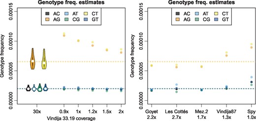 Genotype frequencies for autosomal sites with at least 4-fold coverage. Left: Vindija 33.19 full data and data from a single subsampled library. Violin plots show the distribution over Vindija 33.19 chromosomes. Right: Low-coverage Neandertals. Horizontal lines show genome-wide Vindija 33.19 estimate