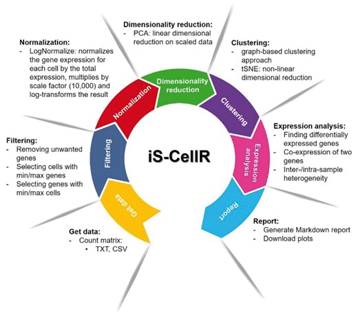 iS-CellR pipeline overview. iS-CellR is organized into a seven-step process for complete scRNA-seq analysis. The user can interactively select steps to perform analysis using single-cell data. After uploading, the raw data are filtered and normalized. The normalized data are then subjected to dimensionality reduction for principle component analysis (PCA). Further dimensionality reduction can be performed using t-distributed stochastic neighbour embedding (tSNE). After a clustering step, differentially expressed marker genes can be visualized on cell clusters. The user can also visualize co-expression of two genes simultaneously. Inter-/intra-sample heterogeneity requires the user to upload a file with a list of genes in a two-column format (GeneSet1, GeneSet2). Finally, the user can generate a HTML report containing all results produced or download plots individually