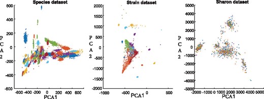 Two-dimensional visualization of a simulated Species dataset, a simulated Strain dataset and a real-world Sharon dataset. Each color corresponds to a species or a strain. The distributions of contigs in all datasets are very irregular. For Species and Strain datasets, only few clusters are separated while most clusters are overlapped. For Sharon dataset, almost all clusters are overlapped. PCA1 and PCA2 are the first two dimensions of the datasets after using principal component analysis (PCA)