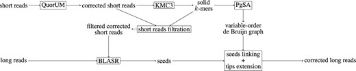 HG-CoLoR’s workflow. First, the short reads are corrected with QuorUM in order to get rid of as much sequencing errors as possible. Then, a maximum order K is chosen for the graph, and the K-mers from the corrected short reads are obtained with KMC3. To further reduce the error rate, a filtration step is applied to the corrected short reads, and those containing weak K-mers are removed. For the same reason, only the solid K-mers from the corrected short reads are indexed with PgSA, to represent the variable-order de Bruijn graph. The previously filtered corrected short reads are then aligned to the long reads with the help of BLASR in order to find seeds. Each long read is then processed independently. For each of them, the graph is traversed in order to link together the associated seeds, used as anchors, in order to retrieve corrected sequences for the uncovered regions of the long read. Then, the tips of the sequence obtained after linking together all the seeds are extended in both directions by traversing the graph, to reach the initial long read’s extremities. Finally, the corrected long read is output