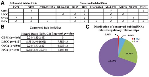 Differential and conserved hub lncRNAs between cancers. (A) Cancer-associated differential and conserved hub lncRNAs. (B) Multivariate survival analysis of conserved hub lncRNAs for the four human cancers. The forest plot shows hazard ratio (95% confidence interval), and the Log-rank P-values are <0.001. (C) Distribution of regulatory relationships associated with conserved hub lncRNAs across cancers