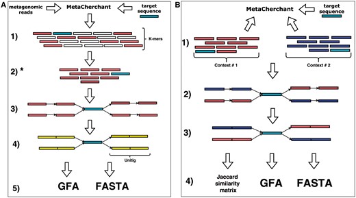 MetaCherchant workflow. (A) Single-metagenome mode (environment-finder function). 1. Read metagenomic data and decompose it into k-mers. 2. Find all k-mers included into the target gene sequence. 3. BFS on the dBg starting from k-mers of target gene. 4. Compress non-branching paths of dBg into unitigs. 5. Save the graph to file in one of supported formats. (B) Differential multi-metagenome mode (environment-finder-multi function). 1. Download k-mers distributions (>2), which were obtained on single-mode. 2. BFS on the dBg starting from k-mers of target gene. 3. Compress non-branching paths of dBg into unitigs. 4. Save the graph to file in one of supported formats. *k-mer frequencies can be used to combine contexts and calculate distances between different contexts