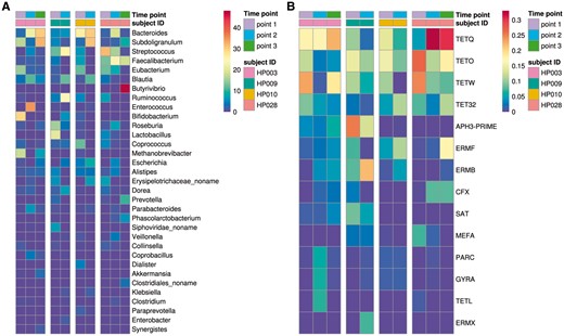 Relative abundance of the major bacterial species and AR gene groups in gut metagenomes (time points and subject IDs are shown in the right-side legend bars as different colors). (A) Relative abundance of major different bacteria species (percent). (B) Relative abundance of major different group AR-genes (mass weight) (Color version of this figure is available at Bioinformatics online.)