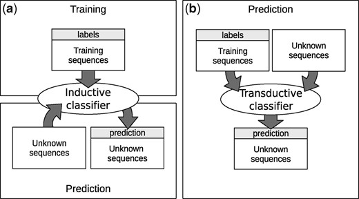 Inductive and transductive learning. (a) Traditional inductive scheme with two separate stages; (b) Transductive scheme with only one stage