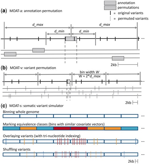 (a) MOAT-a shuffles each annotation to a new location within the local genome context bounded by user-defined parameters d_min and d_max, producing n permutations. (b) In MOAT-v, the whole genome is divided into bins of user-defined width W, within which variants are moved to new coordinates, thereby preserving the local mutation context. As with MOAT-a, MOAT-v produces n permutations. (c) MOAT-s bins the entire genome, whereupon it calculates the covariate values for each bin. The program then clusters bins with similar covariate values, represented here as bins with the same color (we refer to these clusters as equivalence classes). The input variants that fall within each cluster are then permuted to new locations chosen from the bins within the same cluster, honoring trinucleotide context preservation if requested