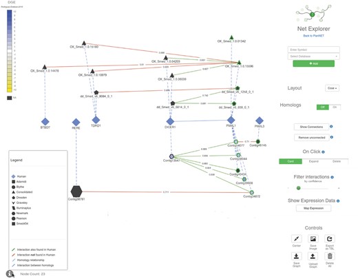 Screenshot of the PlanNET NetExplorer browser. Each node in the graph represents a protein/contig, the shape of the nodes determines the dataset to which they belong. The size of the nodes depends on the node degree (total number of interactions). The edges color varies depending on the type of relationship (see ‘Legend’ on the lower left corner of this figure). DGE data comparing two samples from the experiment described in (Rodríguez-esteban et al., 2015) was projected over this visualization; the color of nodes is based on the expression fold change (scale shown on the upper left corner of this figure). The controls on the right panel allow users to explore the graph further by clicking on nodes, as well as getting information for each contig/protein. Numbers on the edges correspond to the proportion of votes of the random forest classifier, as a measure of the confidence of any given interaction. Users can filter these interactions by confidence value with the slider on the right (under ‘Filter interactions’). Finally, the interface allows researchers to save and load graphs in JSON format (Color version of this figure is available at Bioinformatics online.)