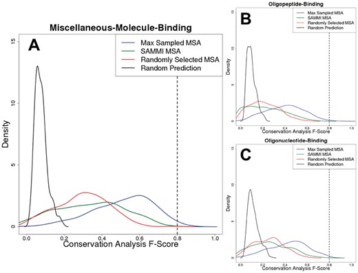 Sequence conservation-based binding site residue predictions can approach the practical upper limit of binding site definition. Conservation analysis F-Score distributions for the three datasets used in this work (A: miscellaneous-molecule-binding, B: oligopeptide-binding, C: oligonucleotide-binding) are plotted for the Max Sampled MSAs (blue), SAMMI MSAs (green) and randomly selected MSAs (red). Specifically, the red curve was obtained by plotting the distribution of average F-Scores resulting from conservation analysis of 100 randomly selected sampled MSAs for each protein. In addition, a background F-Score distribution (black) representing the likelihood of selecting functional residues by chance was obtained by randomly selecting a number of residues (with relative solvent-accessibility greater than zero) equal to the number of annotated functional residues for each protein and averaging the resulting F-Score over 264 trials. The dashed lines at F-Scores of ∼0.8 indicate the approximate theoretical upper limit that was established by analysis of the agreement between different databases. The plotted density functions are accurate representations of the underlying data (Supplementary Fig. 2)