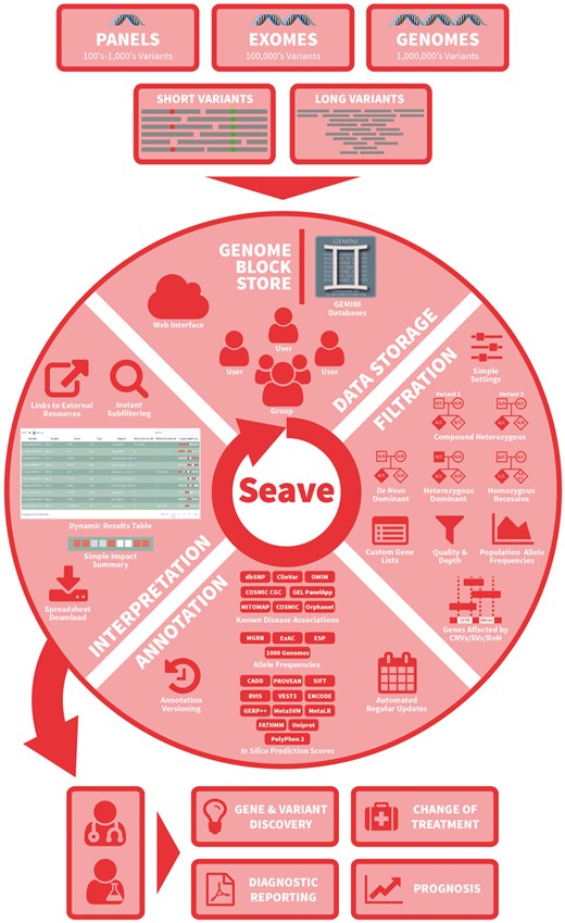 Schematic overview of Seave’s main features. Arrows represent the flow of information through sequencing, variant detection, data storage, filtration, annotation, interpretation and outcomes
