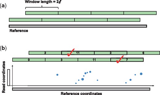 (a) The implicit windows considered on the reference genome for the candidate selection step. If the read length is ℓ, then the windows are of size 2ℓ and overlap by ℓ bases. (b) An example of the candidate selection step. Each dot represents an anchor and its size represents the weight of the anchor. In this example, f = 2, and since the maximum window score is 11, every window with score ≤5.5 will be ignored. In addition, the window with score 6 is not kept since it is overlapping with a window with score 7. Also, only one of the windows with score 11 will be in the final list of candidates since the other window is overlapping it